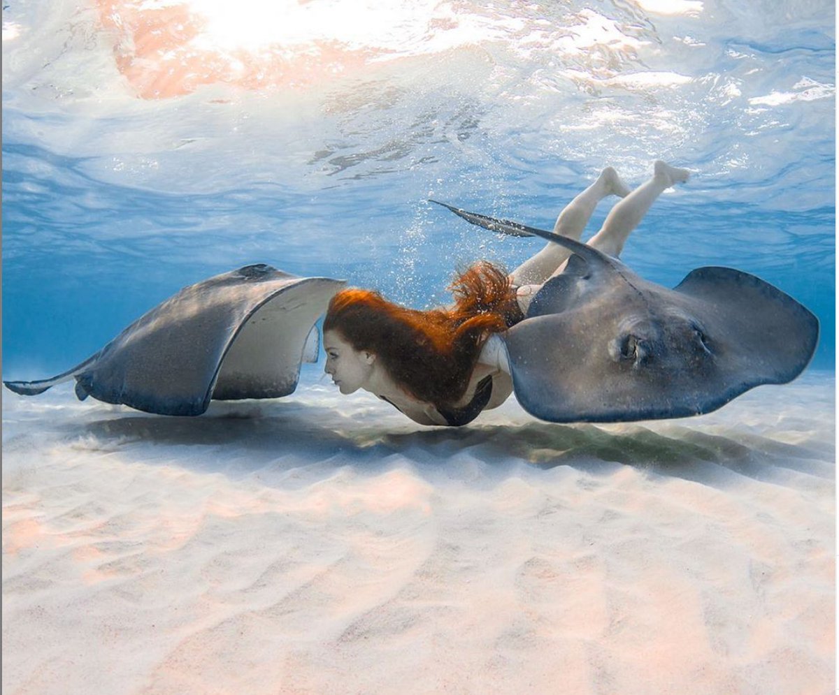 Flat Shark Friends

Freediver @adkinstaylor 

📸 @caymanjason

#stingrays #marinelife #oceans #onebreath #freediving #uwmodel #underwaterworld #freediver #freedive #apnea #explore #saltlife #underwaterphotography #deeperbluephoto