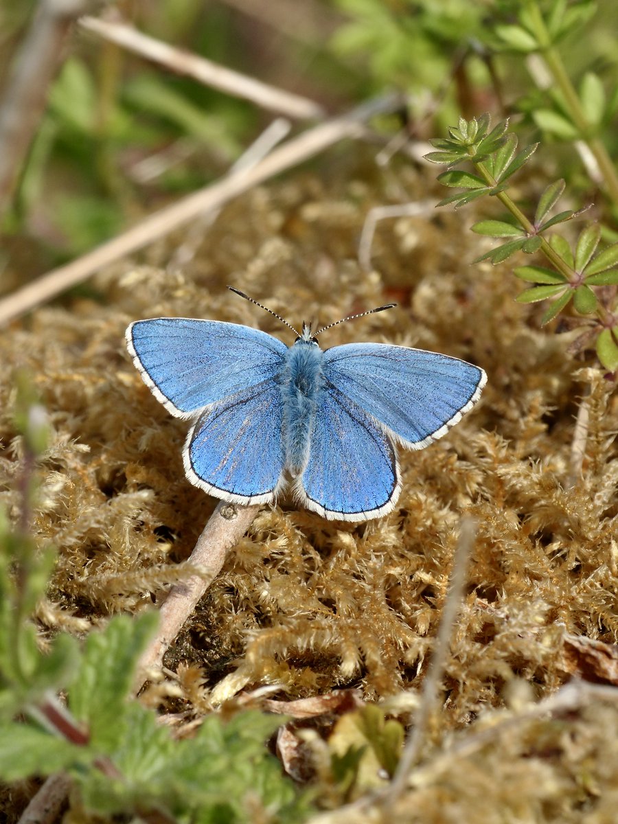 Dr Dan Danahar tweet media