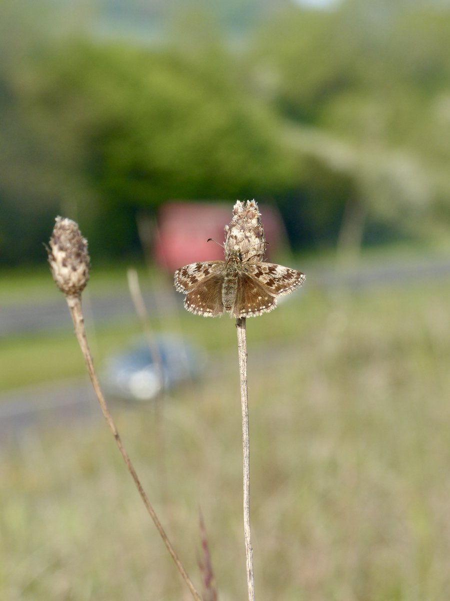 Dr Dan Danahar tweet media