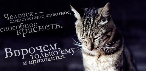 #мудрость