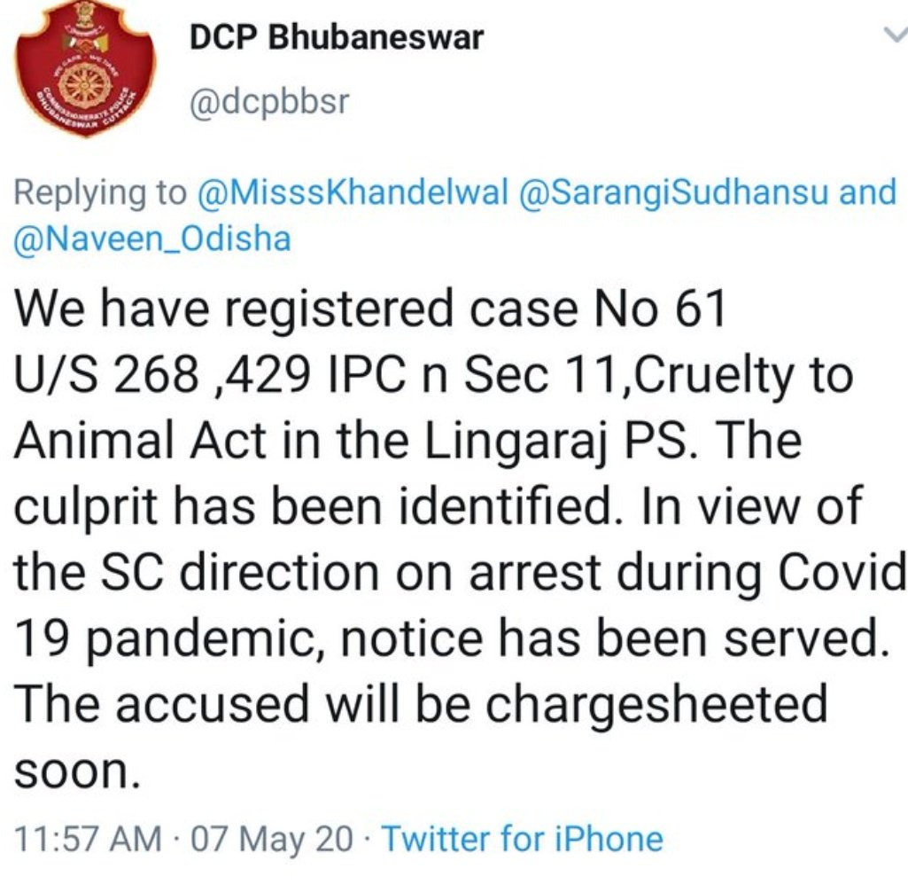 AWTEOdisha's tweet photo. Finally!!! 

Justice is on the way for our beloved April, the pregnant dog, who was brutally beaten and then succumbed to death with her two pretermed babies. Many thanks to @anupkumarsahoo, @dcpbbsr @odisha_police for taking this much needed step.  🙏🙏#JusticeForApril https://t.co/9TqE9DdTOL