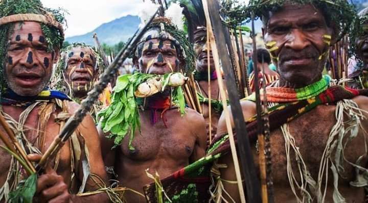 1 Papua Yeni Gine Kinası = 2,09 Türk Lirası