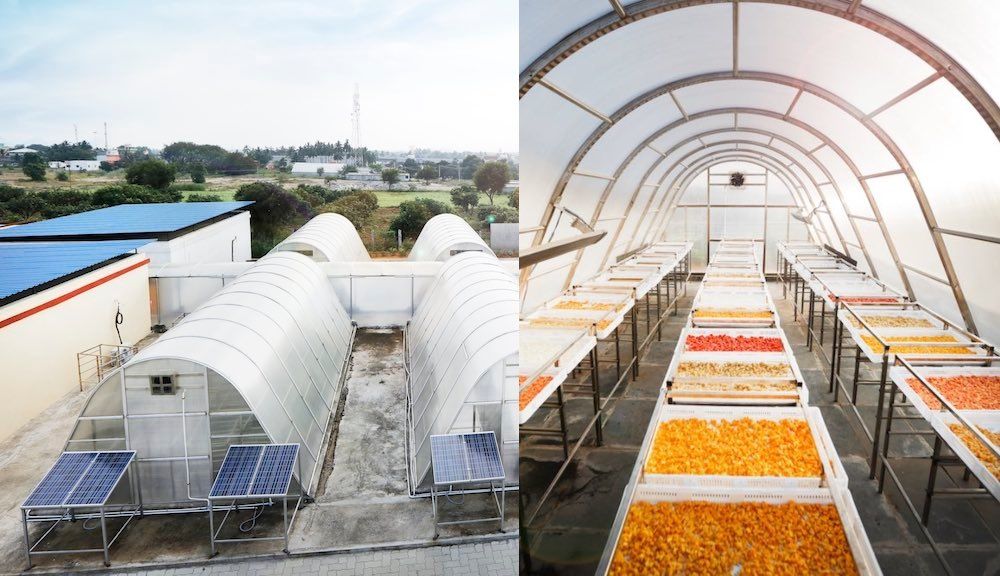 Invernadero solar secado alimentos, reducir desperdicio y aumentar renta.

ecoinventos.com/invernadero-so…