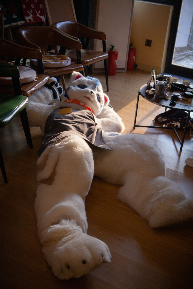 沉默的白熊 (@polarbear_0m) on Twitter photo 