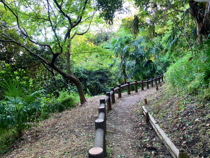 なんかキラキラとか宝箱とか出てきそうな道発見👀✨ 歩いてみた。 リアルありちゅんはなにも見つけられなかった。 (･_･) これがちゅんありなら見つけられたんだろうなー🥺 @#ドラクエ11 #PS4 #ドラゴンクエスト #pug<a href="/tag/%E3%83%89%E3%83%A9%E3%82%AF%E3%82%A811"class="tags">#ドラクエ11</a><a href="/tag/pug"class="tags"><span>#pug</span></a><a href="/tag/ps4"class="tags"><span>#ps4</span></a><a href="/tag/%E3%83%91%E3%82%B0"class="tags"><span>#パグ</span></a><a href="/tag/%E3%83%89%E3%83%A9%E3%82%B4%E3%83%B3%E3%82%AF%E3%82%A8%E3%82%B9%E3%83%88"class="tags"><span>#ドラゴンクエスト</span></a><a href="/tag/blackmonster"class="tags"><span>#blackmonster</span></a>