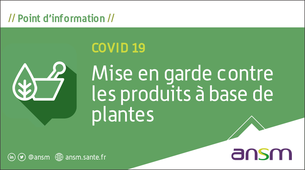 ansm's tweet photo. ⚠️ Les produits à base d’#Artemisia annua n’ont pas fait la preuve de vertus thérapeutiques contre le #Covid19

❗Le recours à ce type de produits en #automédication peut présenter un danger pour votre santé

En savoir ➕ : https://t.co/BVTDNscKCA https://t.co/wyMa1kckMj