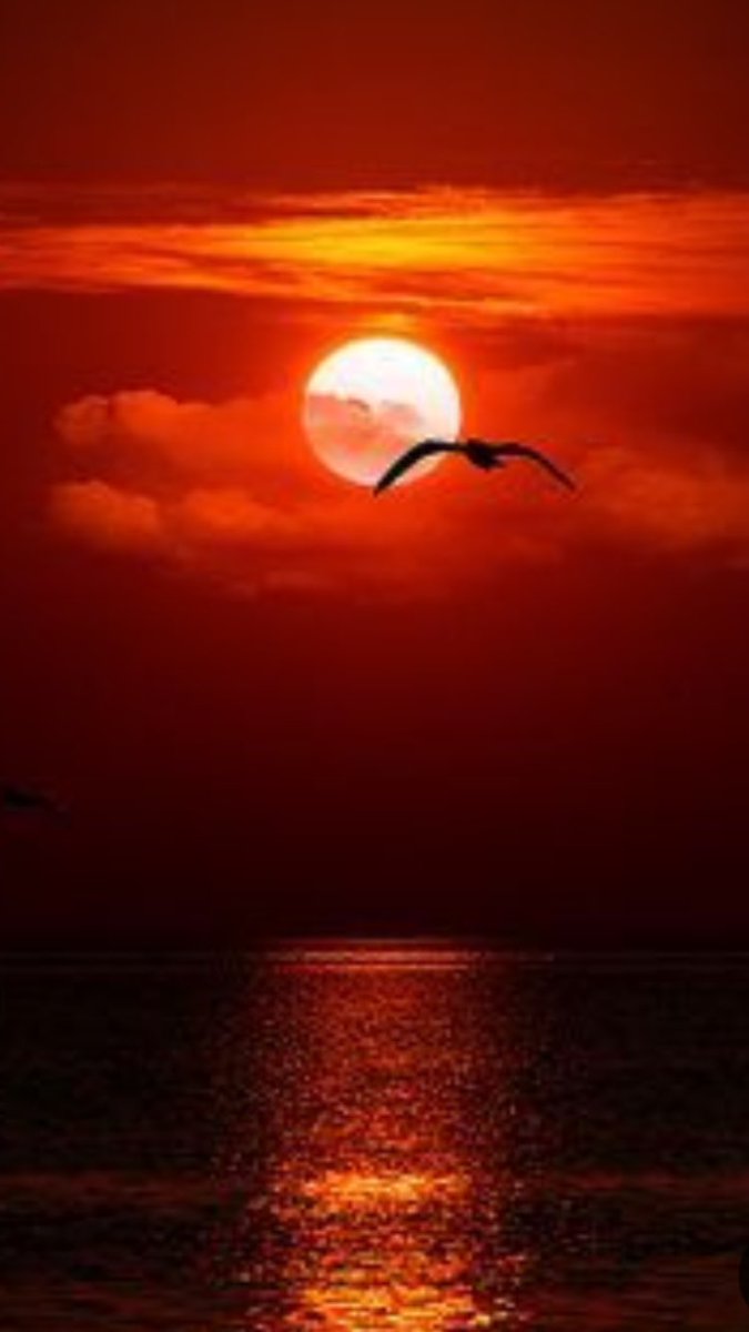 impoluttocars's tweet photo. Hoy amanece un nuevo día. https://t.co/Y6bNq1hYfX