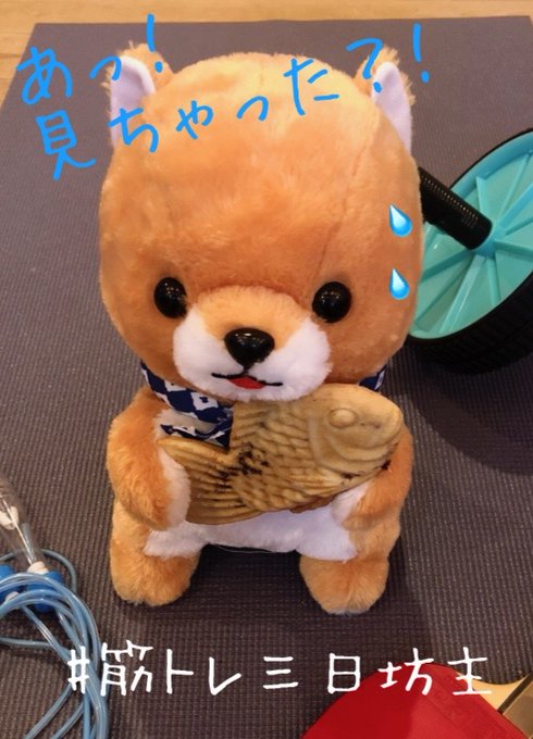 アミューズ Amufun 公式 さん がハッシュタグ 豆しば三兄弟 をつけたツイート一覧 3 Whotwi グラフィカルtwitter分析
