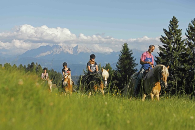 Sentieri a Merano, passeggiate a cavallo, storie da Itaca ed estate nei masi - mailchi.mp/15e866f28067/s…