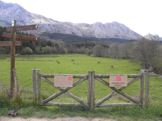 Oizegin's tweet photo. Urkiola Landa Garapenerako Alkarteak GR229 Mikeldi ibilbidea mantentzeko esleipena plazaratu du. https://t.co/wdu2E4PgqN https://t.co/D6D0NOqdya