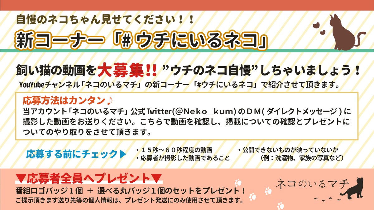 猫チャンネル ネコのいるマチ Neko Kum Twitter
