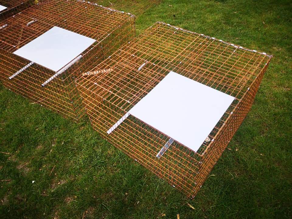 HandyTraps's tweet photo. I also now offer a range of traps to appeal to different situations and budgets. So now the cage traps can be made as self colour or finished in dark green or black or at the top end of the budget is galvanised finish. https://t.co/vWgIDEPogb