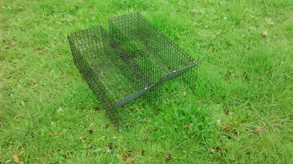 HandyTraps's tweet photo. I also now offer a range of traps to appeal to different situations and budgets. So now the cage traps can be made as self colour or finished in dark green or black or at the top end of the budget is galvanised finish. https://t.co/vWgIDEPogb
