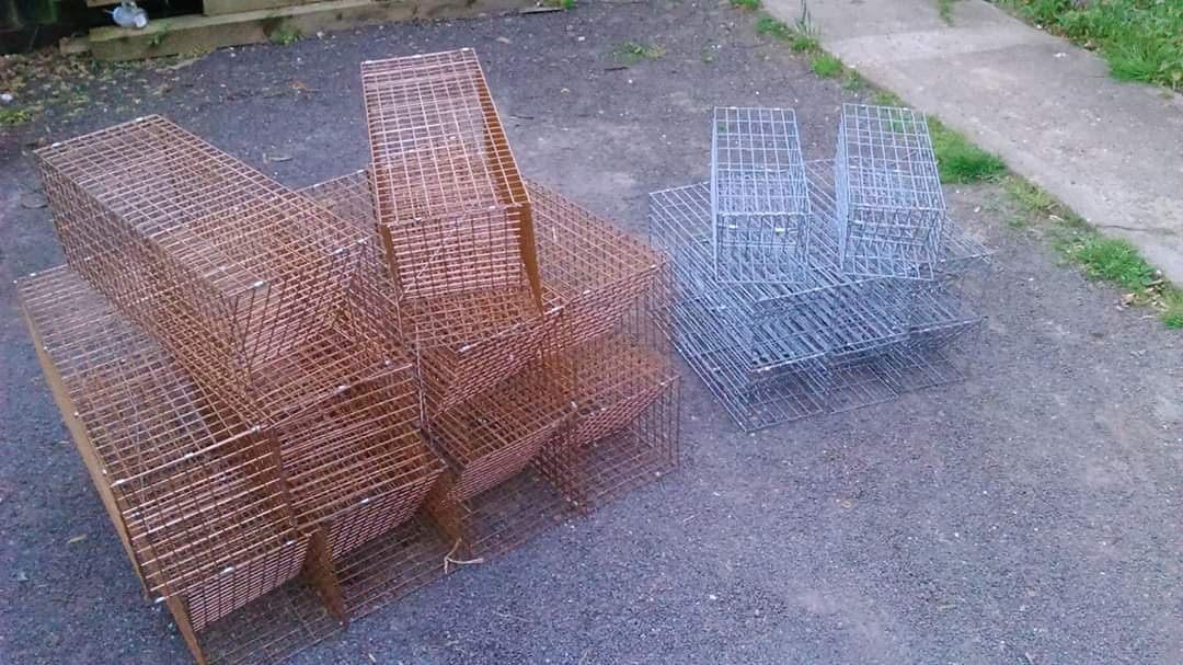 HandyTraps's tweet photo. I also now offer a range of traps to appeal to different situations and budgets. So now the cage traps can be made as self colour or finished in dark green or black or at the top end of the budget is galvanised finish. https://t.co/vWgIDEPogb