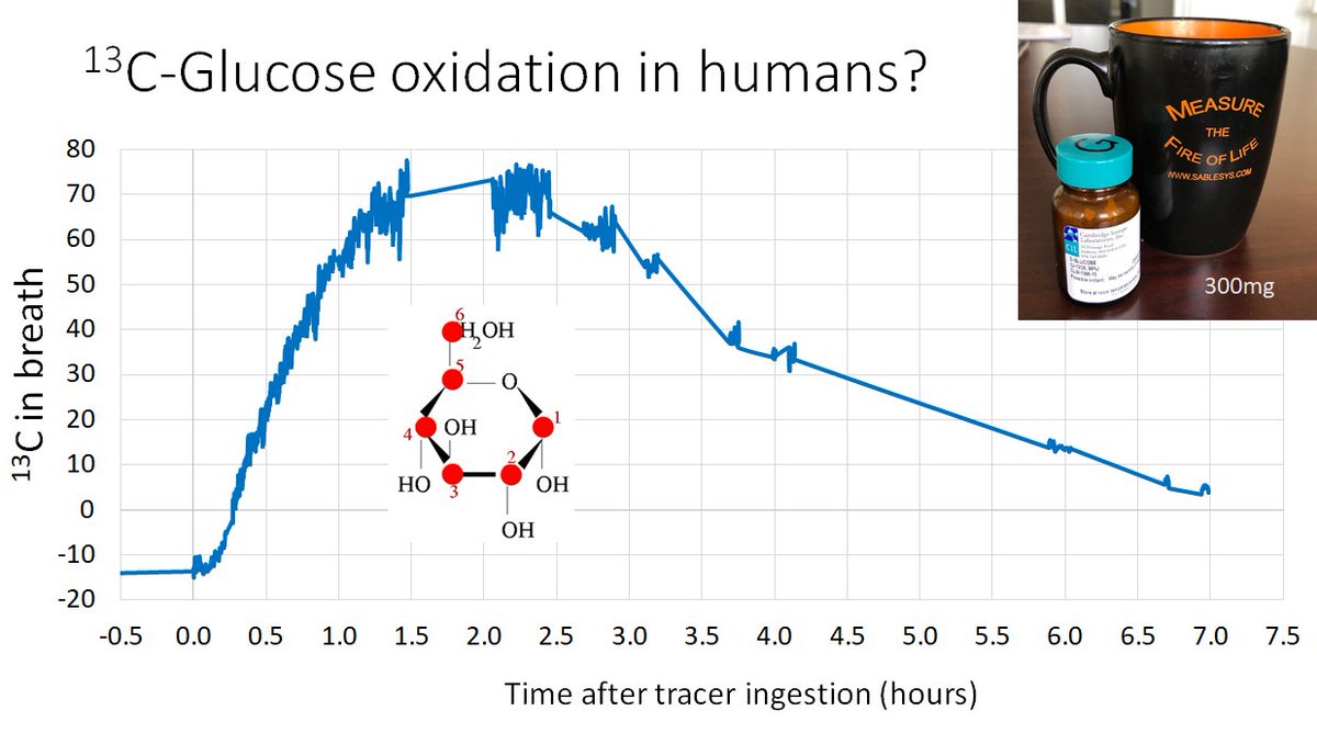 marshalldmccue's tweet photo. Spiked my coffee with 300mg of Isotope labeled glucose to see how my body oxidizes dietary sugars in real-time. #Obesity #Physiology #Metabolism #Nutrition #Biochemistry https://t.co/UUVqzeRybd