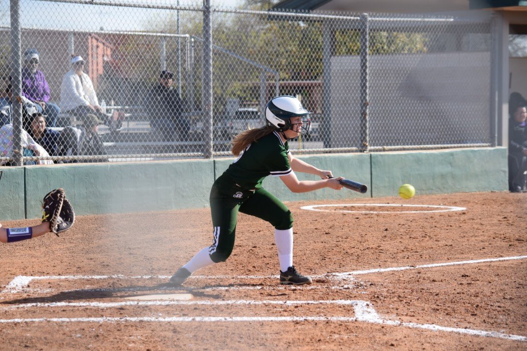Softball_RRHS's tweet photo. Congratulations to our 2020 Recognized Performers!  Daniela Arellanes, Ajah Jackson, and Leah Snelgrove! #strike’em https://t.co/WGkNKxIYC8