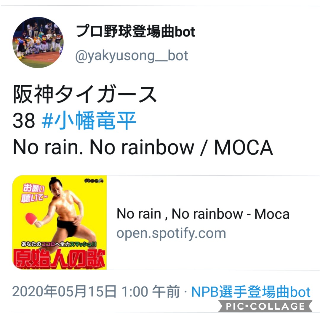 ちーママ على تويتر モカさんのオリジナル曲も登場曲になっているのを知り 嬉しくなりました Moca Osaka ベリーグッドマン Moca プロ野球登場曲 阪神タイガース 小幡竜平