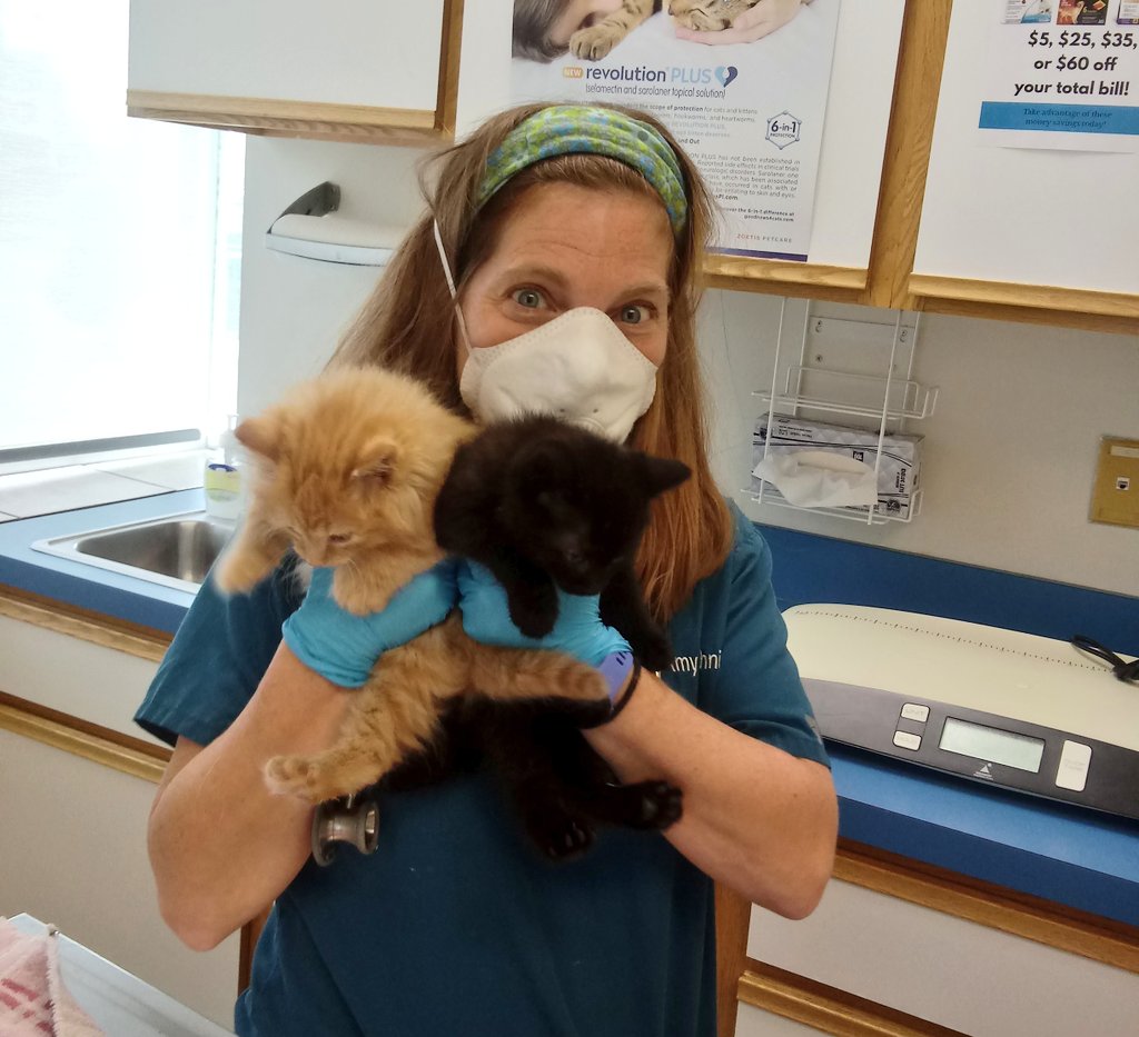 EastonAH's tweet photo. We are so excited to welcome back Dr. Amy Schnipke to our team!
#best #dogtor #eastonah #ThankfulThursday #dvm #hero https://t.co/vGAMJTX9AW