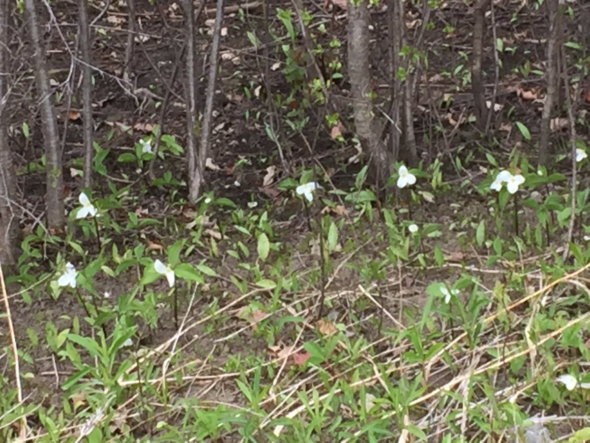 Pat and Sarah Patten tweet media
