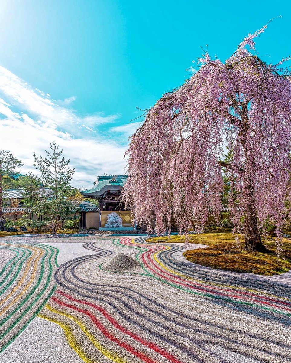 Next week, Boutique Japan founder Andres Zuleta will host a live Q&amp;A on Instagram Live with a Kyoto expert who specializes in introducing travelers to the ancient capital. Check back in soon for more details!
📷: <a href="/kyoko1903/">Kyoko Ueda</a>