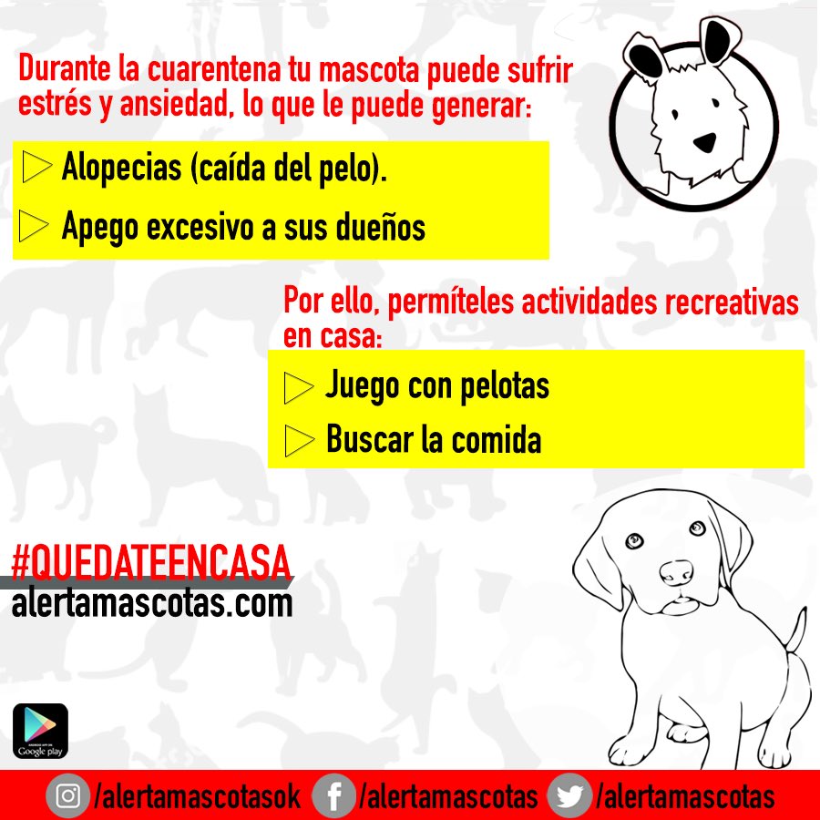 alertamascotas's tweet photo. Es importante prestarle mucha atención a nuestras mascotas durante la cuarentena para evitar que ellos también sufran el estrés del encierro. 
#QUEDATEENCASA
.
.
Para Android descarga la app desde el Play Store.
Para iPhone ingresa a https://t.co/OOCOjfJize
NUNCA DEJES DE BUSCAR https://t.co/X5GXhreuWd