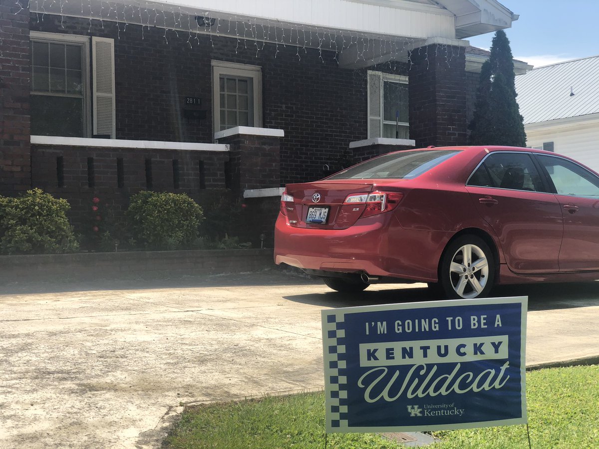 JesseHedge's tweet photo. More wildcat welcomes. #Uk2024 #ukartsci https://t.co/H8nDsRLPbZ