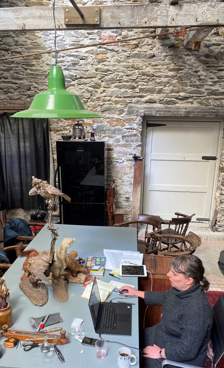 ColladoCollins Architects tweet media