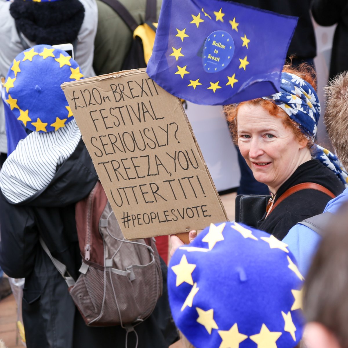 NigelNott's tweet photo. @chrisgreybrexit A placard at the demo organised by @euinbrum at the Tory Party Conference on 30 September 2018 says it all https://t.co/9aSP5FRGeR