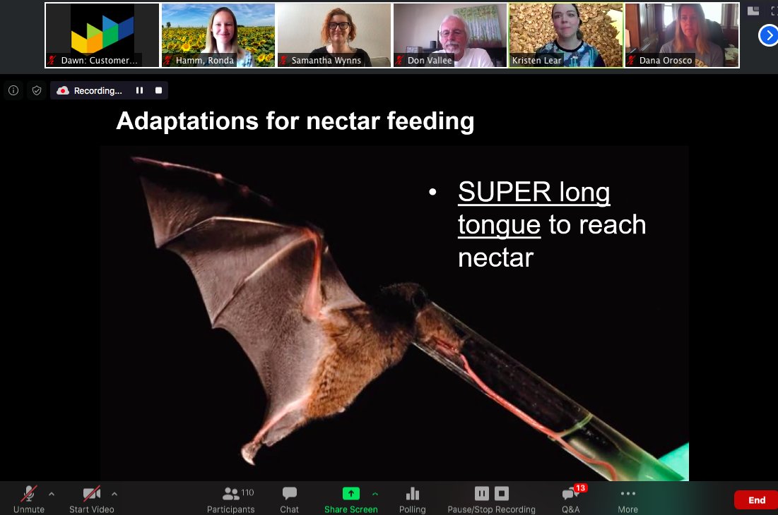 dawndillenbeck's tweet photo. Excellent information about pollinators and bats for classrooms across the USA with @insectdoc @steambossammie @BatsForLife @neprisapp @IfThenSheCan #bats #K12
#steam https://t.co/oonss4ffwJ