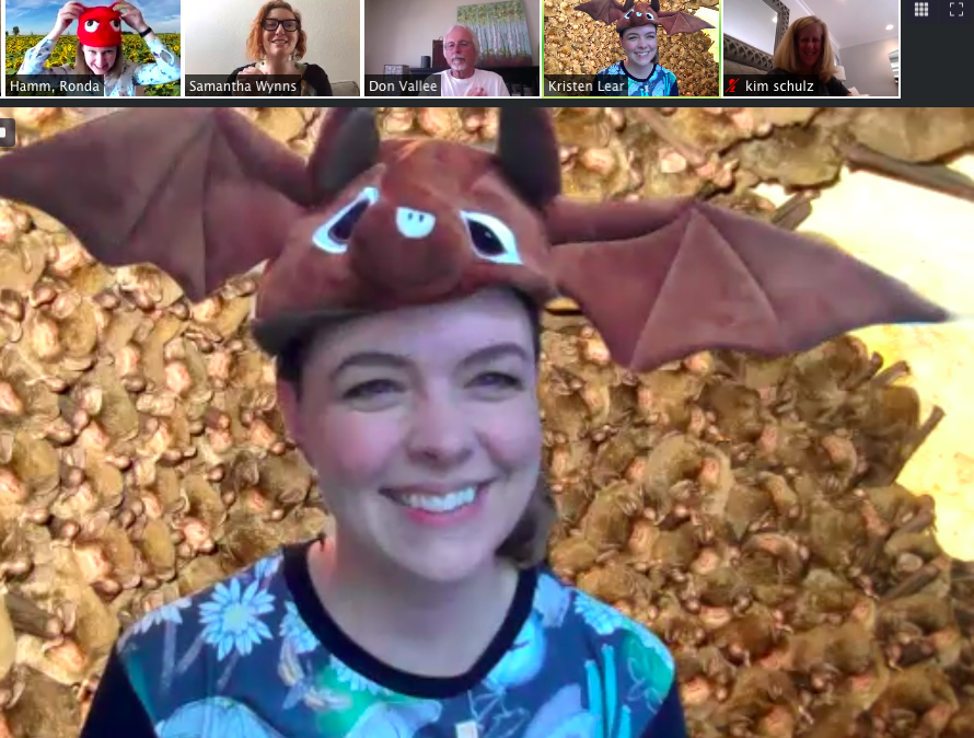 dawndillenbeck's tweet photo. Excellent information about pollinators and bats for classrooms across the USA with @insectdoc @steambossammie @BatsForLife @neprisapp @IfThenSheCan #bats #K12
#steam https://t.co/oonss4ffwJ