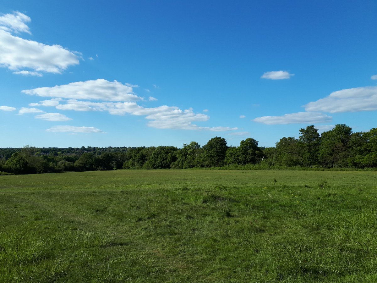 RSPBNELondonGrp's tweet image. To mark our 1000th tweet, this was the glorious view this evening from twenty-two acres on @EWTRoding, over Loughton with Epping Forest beyond. The reserve was alive with song of warblers and thrushes, the call of woodpeckers and scream of swifts.