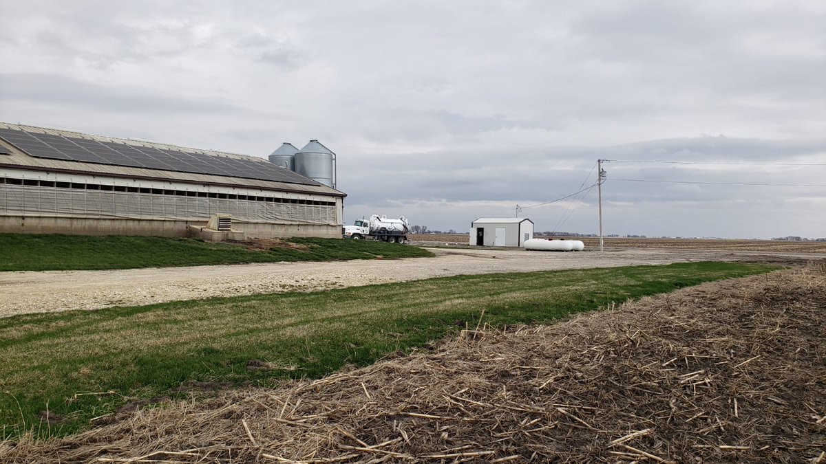 LatinaFarmerUSA's tweet photo. Another reason to Love Rural Ag Communities? A farmer's kid was driving by one of our pig barns and noticed a broken curtain; immediately alerted us via phone. Neighbors & Farmers Looking out for each other. #StrongerTogether #AgPriorities #PorkPriorities 😊 https://t.co/4cHdvaGTXy