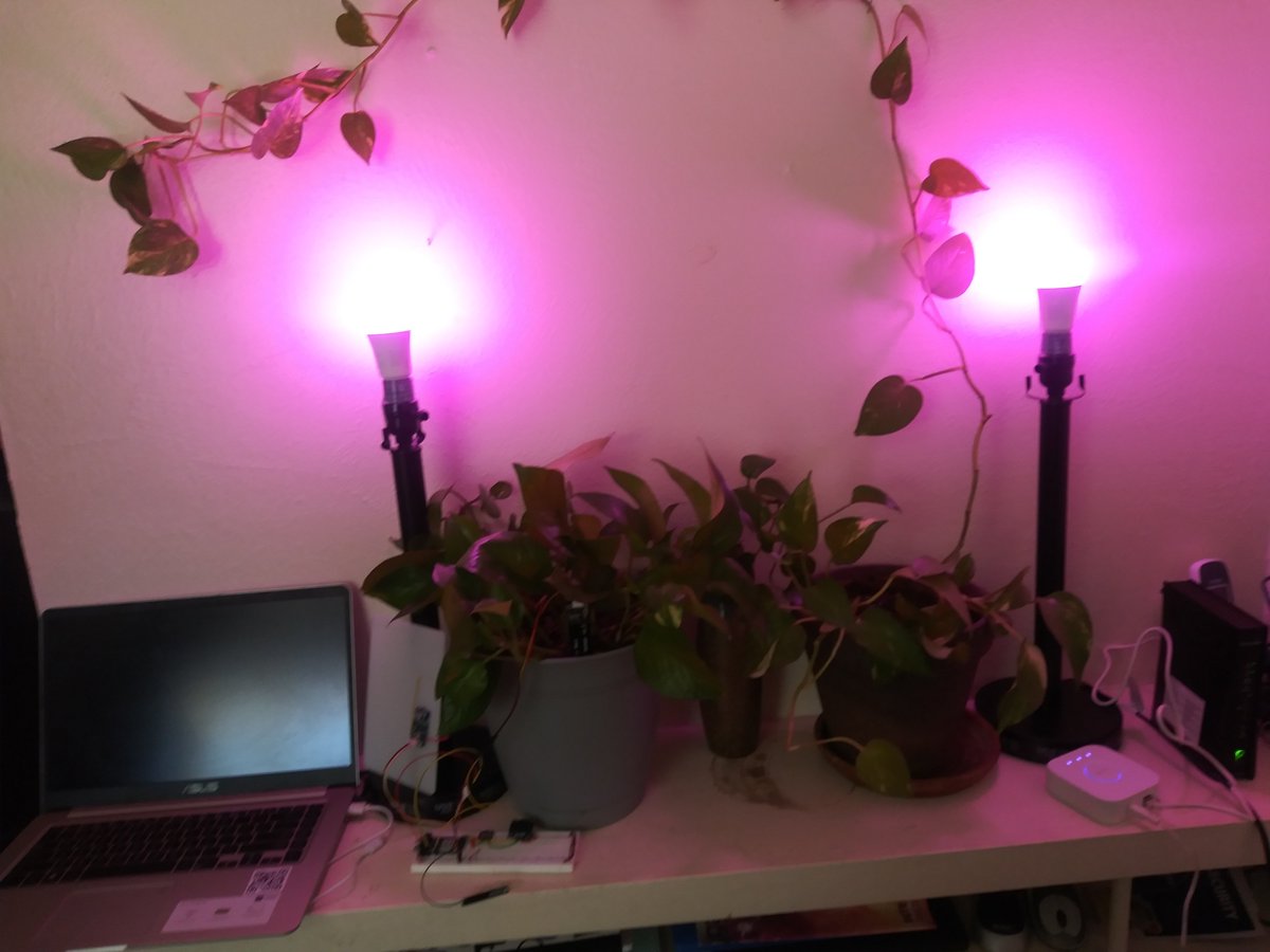 Thehomeschoold1's tweet photo. #IoTengineering #Graduation #Capstone  #AirQualitysensors #HueLights #IoTengineeringandWebdev https://t.co/kYuWYac4YK