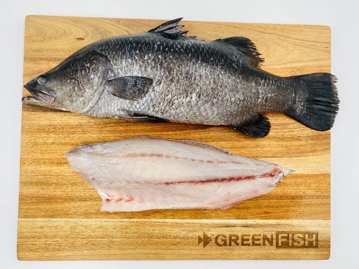 KarenJordanSA's tweet image. The freshest fish in Cape Town is now only a click away with @greenfishsa 
They are now doing home deliveries.
A family run business that believes in sustainable and ethical fishing practices, while providing the best quality fish possible. #freshfish #supportlocal #greenfish
