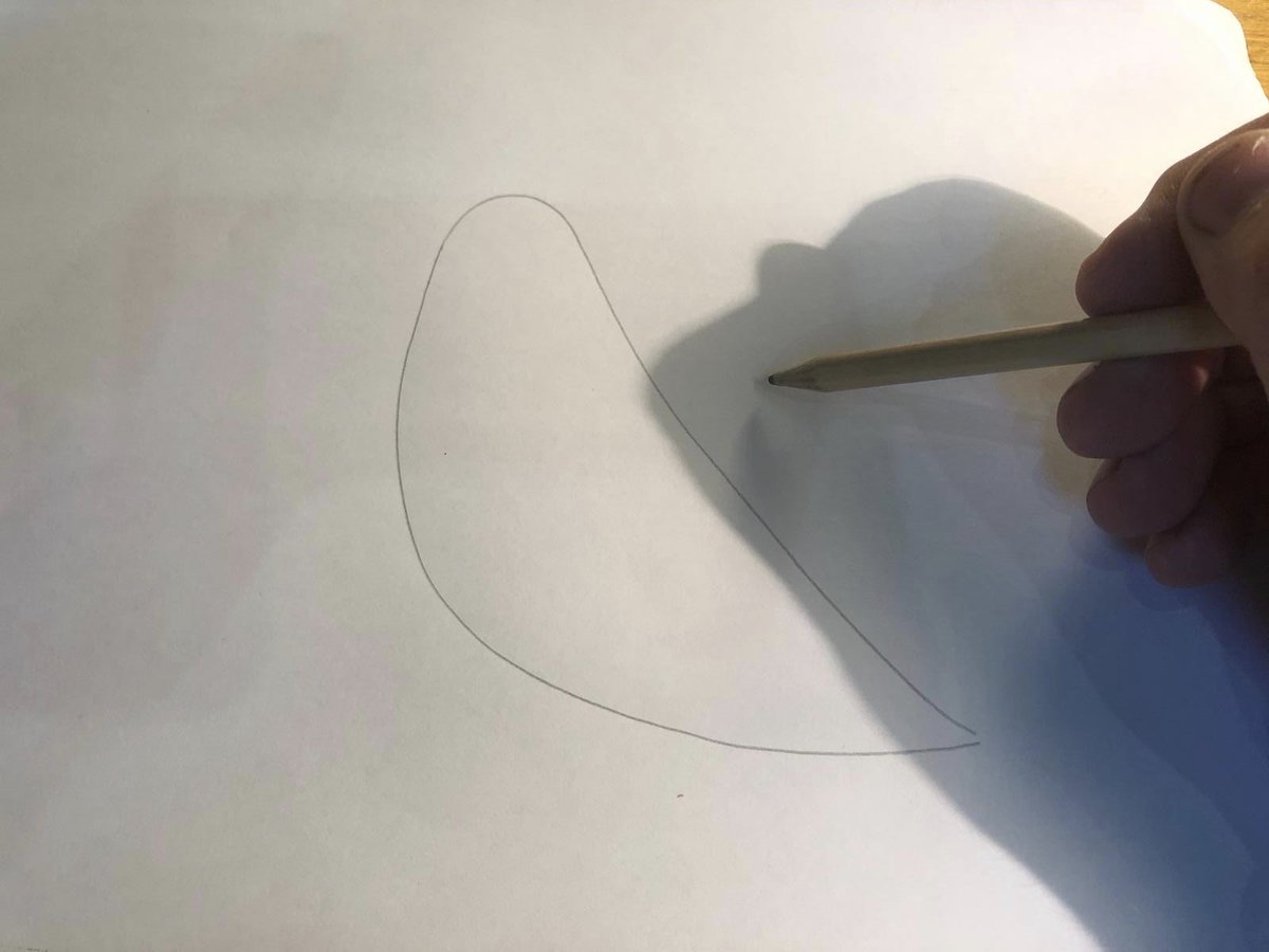 DovesofH's tweet photo. Draw yourself a dove #doves #hope #dovesofhope #craft #abergavenny #makeit #displayit #isolation https://t.co/dU014vjti1
