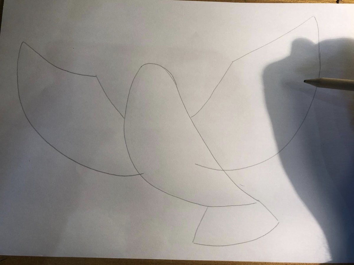 DovesofH's tweet photo. Draw yourself a dove #doves #hope #dovesofhope #craft #abergavenny #makeit #displayit #isolation https://t.co/dU014vjti1