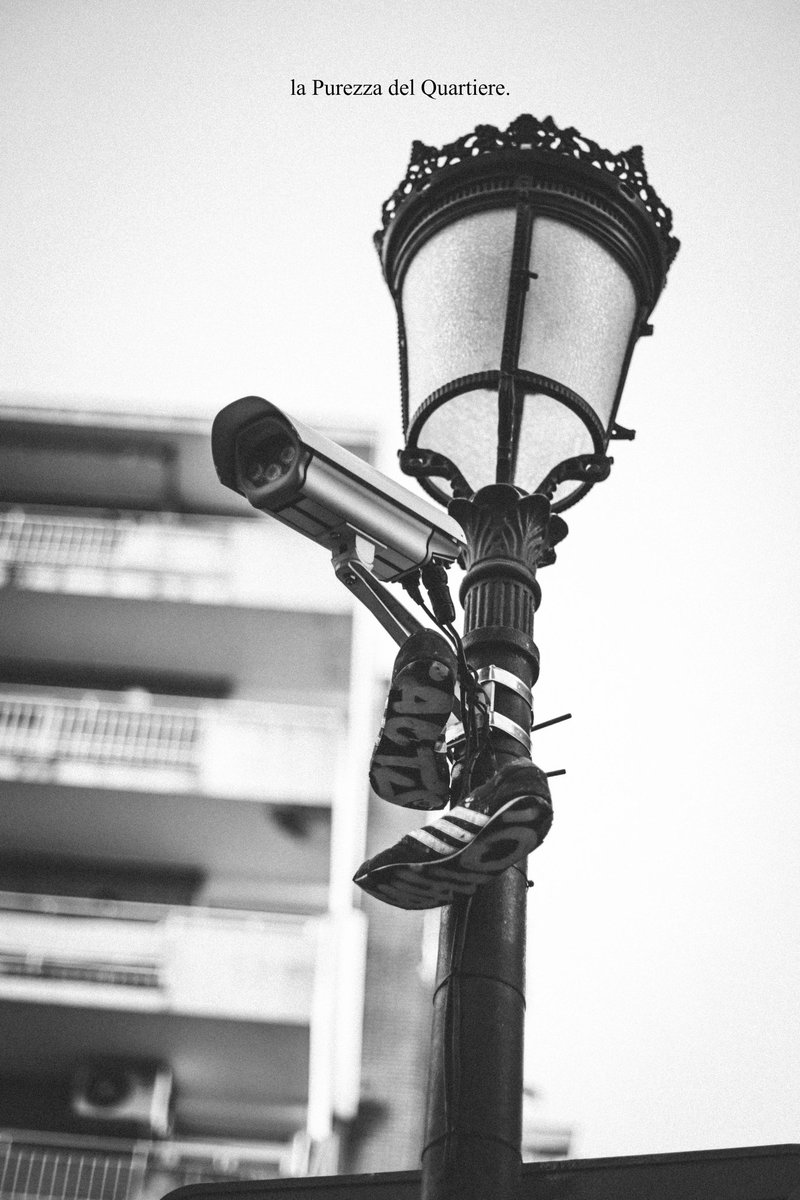 DelPurezza's tweet photo. ⚠️IMPORTANTE ; ABRO HILO⚠️
Buenas, me acabo de abrir esto para dar visibilidad a mis trabajos. 
Agradecería muy mucho un RT, no pido na' más. 
Soy un chaval de Madrid que me dedico a la fotografía y quería mostraros algunos de mis disparos. 

Sigo abajo ⬇️ https://t.co/64yD0aHWsS