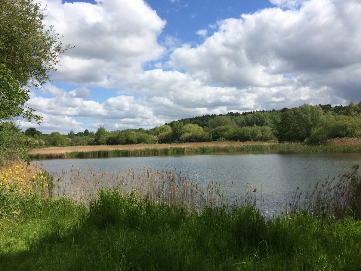 jerseyrd71's tweet photo. So lovely to be back at Amwell NR today https://t.co/hgzft8VPr4