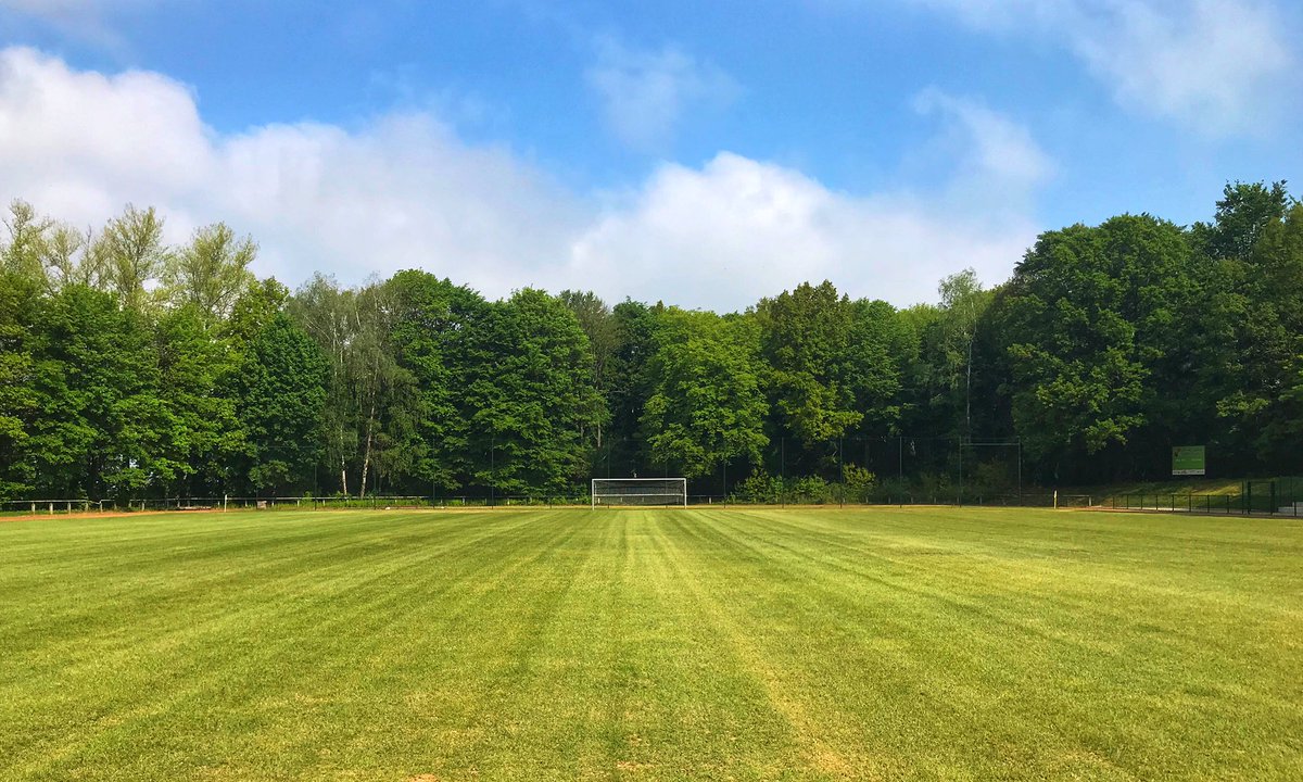 klugelars's tweet photo. Auch wenn derzeit kein aktiver Spielbetrieb stattfindet, ist die Pflege und der Erhalt unserer Sportstätten wichtig. Auf dem #Pfaffenberg ist der Frühjahrsputz beendet und es kann für Leichtathletik und Fußball bald wieder losgehen! #HohensteinErnstthal https://t.co/HTHoLpacd2