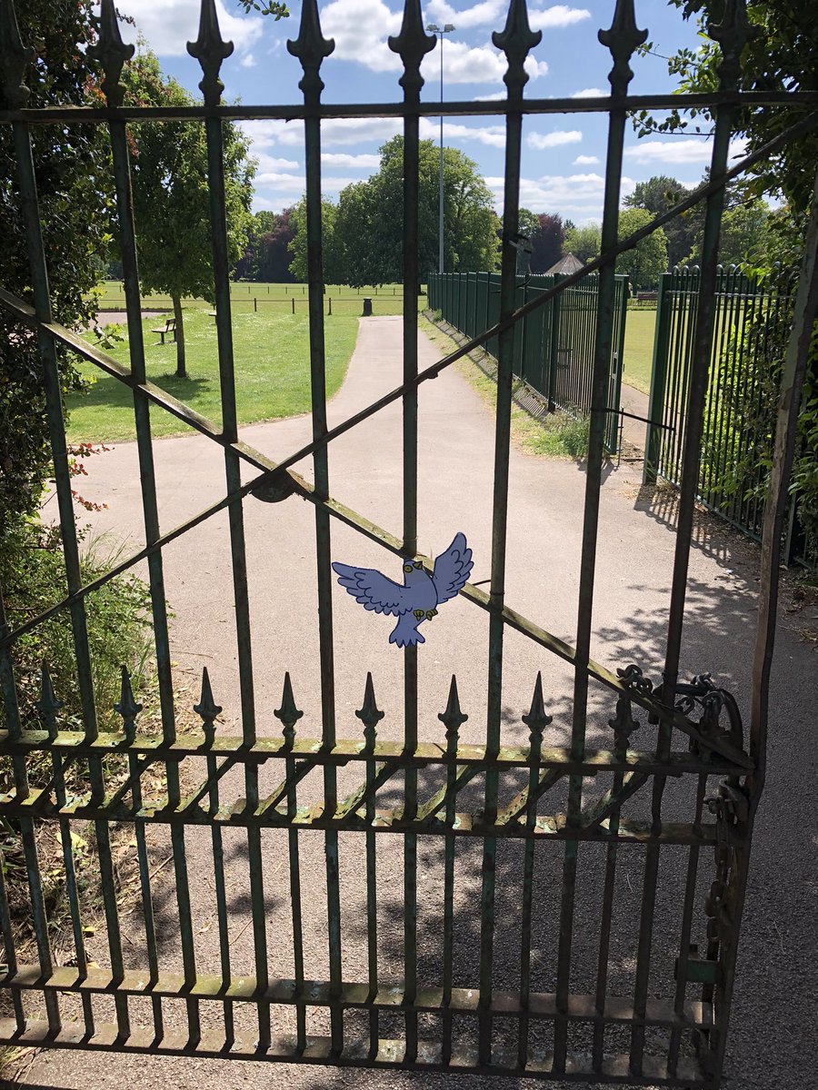 DovesofH's tweet photo. Bailey Park #doves #hope #dovesofhope #craft #abergavenny #makeit #displayit #isolation https://t.co/R40y8rWEoW