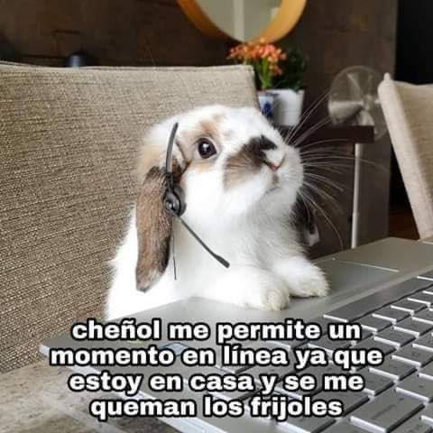 shadowboxer_cl's tweet photo. Buenos días! A conectarse!!! #teletrabajo #jonofis https://t.co/bP5VKExzD3