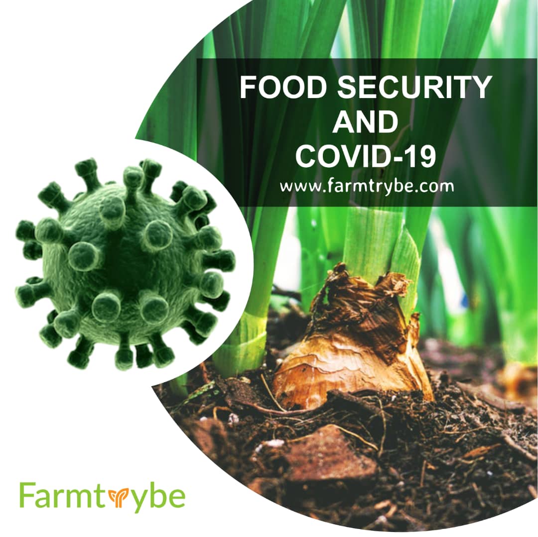 farmtrybe's tweet photo. ...that food maybe available at affordable prices. - Food Security

With the current state of the world, is the above statement feasible in developing countries? Is Africa ready? Find out what really is being done in the article

https://t.co/VRnV0OtF1j https://t.co/VbQZFvmjZl
