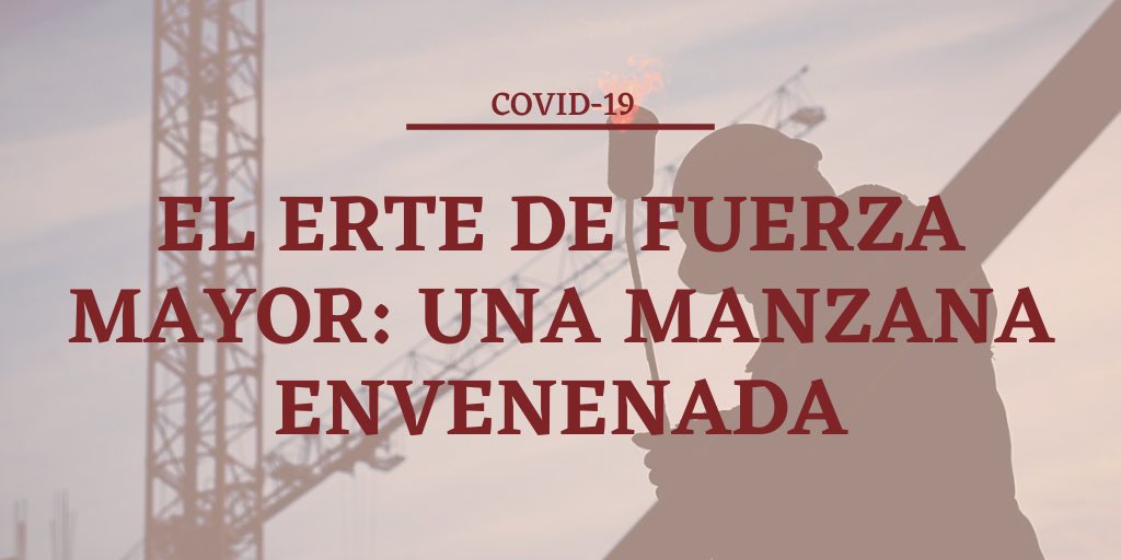 RochaPaus's tweet photo. ¡NUEVO POST EN EL BLOG!

HOY en el blog de #RochaPaus abordamos uno de los grandes temas desde que se decretó el #EstadodeAlarma: los #ERTES 

Nuestro socio @IParicio nos da su visión respondiendo a las cuestiones más controvertidas. 

💻👉🏻 https://t.co/bNM6gVSqxj https://t.co/cwhQcaAUZ2