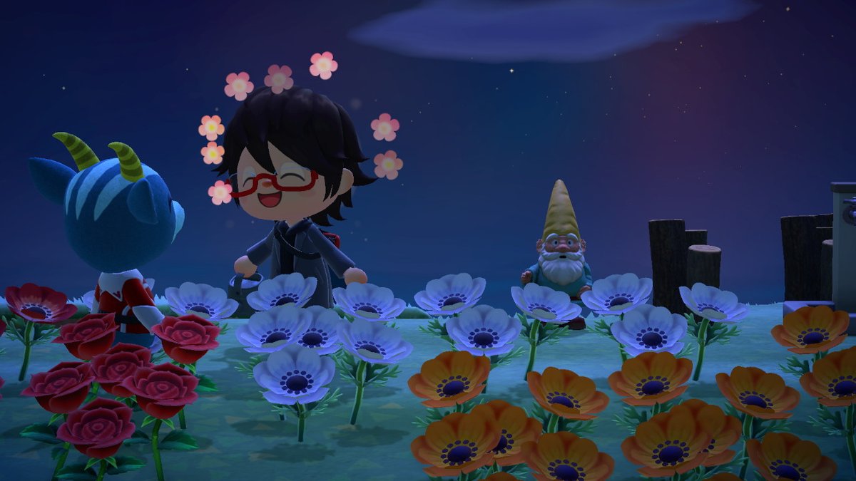 wagu76's tweet photo. #동물의숲 #AnimalCrossing #ACNH #NintendoSwitch https://t.co/fqigU74Sd1
