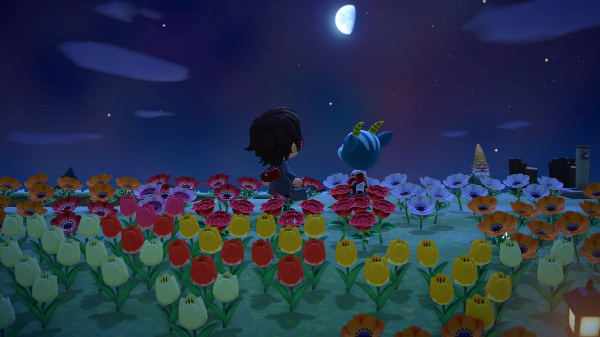 wagu76's tweet photo. #동물의숲 #AnimalCrossing #ACNH #NintendoSwitch https://t.co/fqigU74Sd1