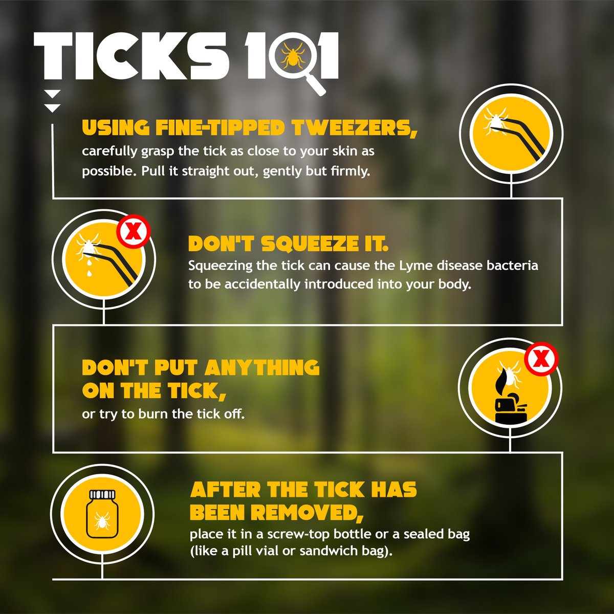 When you come in from outdoors don't forget to do a full body check and if you find a tick remove it carefully. #ticks101 #ticksmart ow.ly/wLXZ50zB2JX