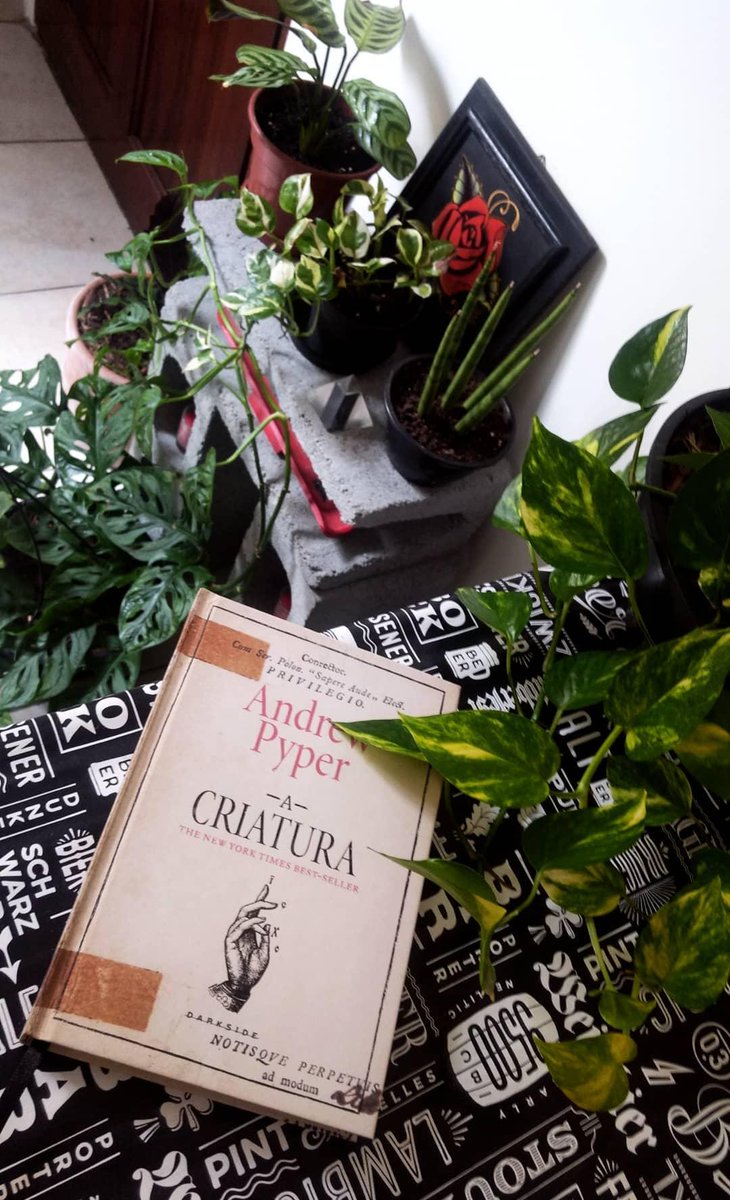 MelQuezado's tweet image. Um bom dia com café, plantinhas e leitura. @DarkSideBooks #darksidebooks #darklovers #andrewpyper #acriatura #theonlychild #love