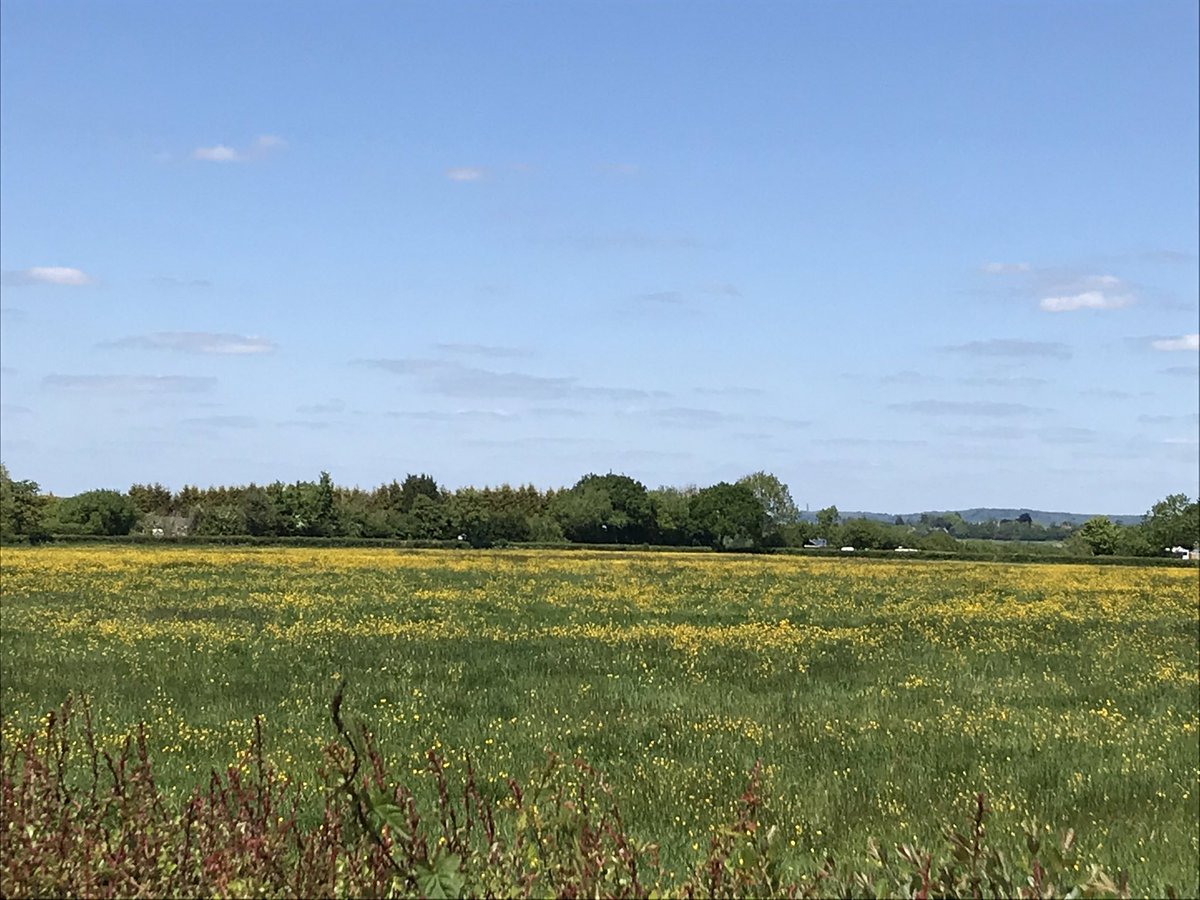 sjreynolds1883's tweet photo. The road is long....... with many a winding turn??? Hhmm.... maybe not! BUT, what a beautiful day! Hey hey!! 
#training #145mile #KACR #RunforAlex💚 #teamclicsargent #lonelygoatrc 💚🐐 https://t.co/2LIQw2kLcG