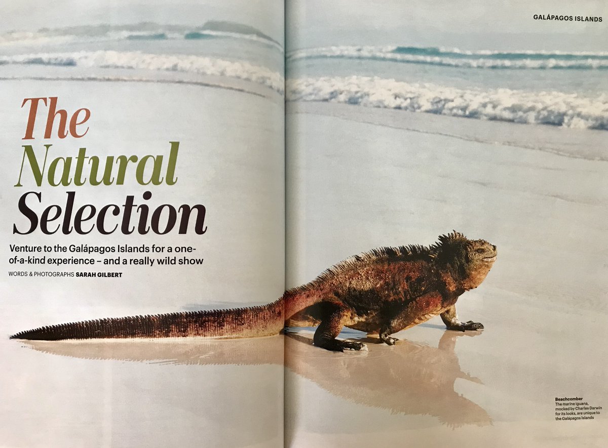 Sarah Gilbert (@sarahgtravels) on Twitter photo Delighted to see my #Galapagos feature in the new <a href="/wanderlustmag/">Wanderlust magazine</a> – a real #bucketlist destination! Thanks to <a href="/JLA_UK/">Journey Latin America</a>, <a href="/ecoventura/">Ecoventura_Galapagos</a>, @naomi_senderos and <a href="/Wanderlust_Lyn/">Lyn Hughes</a> #WishIWasThere #DreamNowTravelLater Delighted to see my #Galapagos feature in the new <a href="/wanderlustmag/">Wanderlust magazine</a> – a real #bucketlist destination! Thanks to <a href="/JLA_UK/">Journey Latin America</a>, <a href="/ecoventura/">Ecoventura_Galapagos</a>, @naomi_senderos and <a href="/Wanderlust_Lyn/">Lyn Hughes</a> #WishIWasThere #DreamNowTravelLater