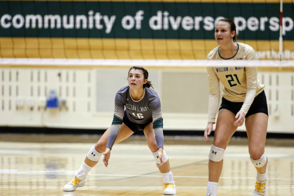 WMTribeVB's tweet photo. #TBT Let's throw it back to early October when @gab_gan33 had a career-high 21 digs in a Tribe win at UNCW! #Sisterhood #Sacrifice https://t.co/9jVmMM1iWC